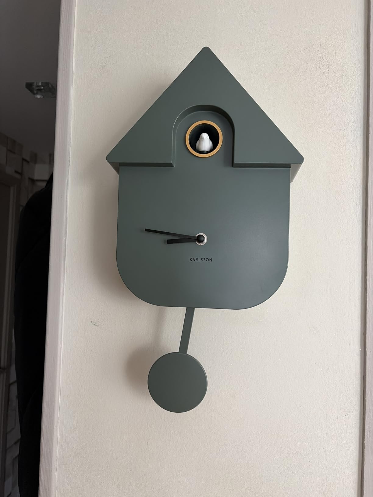Modernes Kuckucksdesign