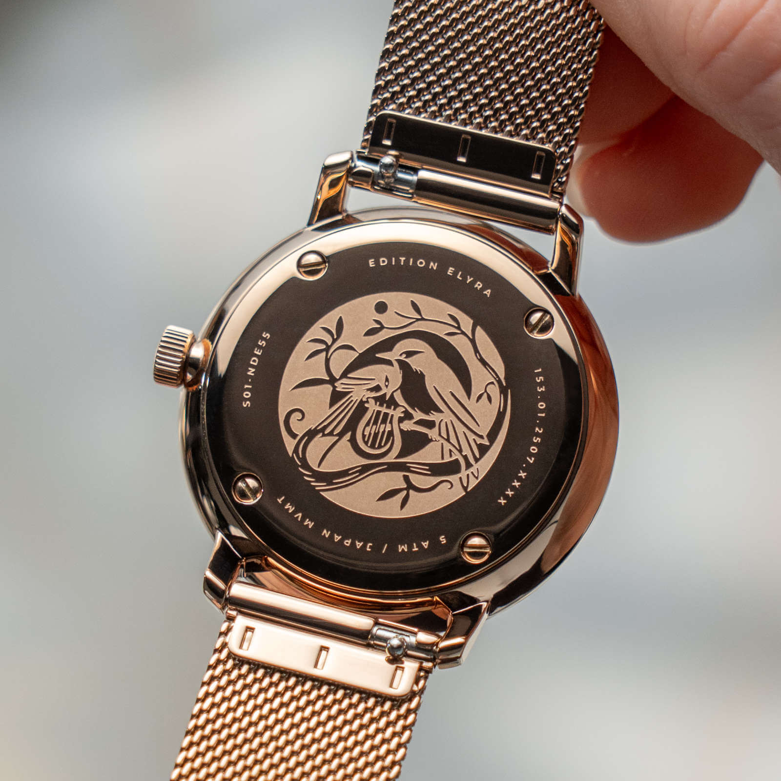 sternglas-naos-xs-edition-elyra-damenuhr-ros-gold-33-mm-leder image 6